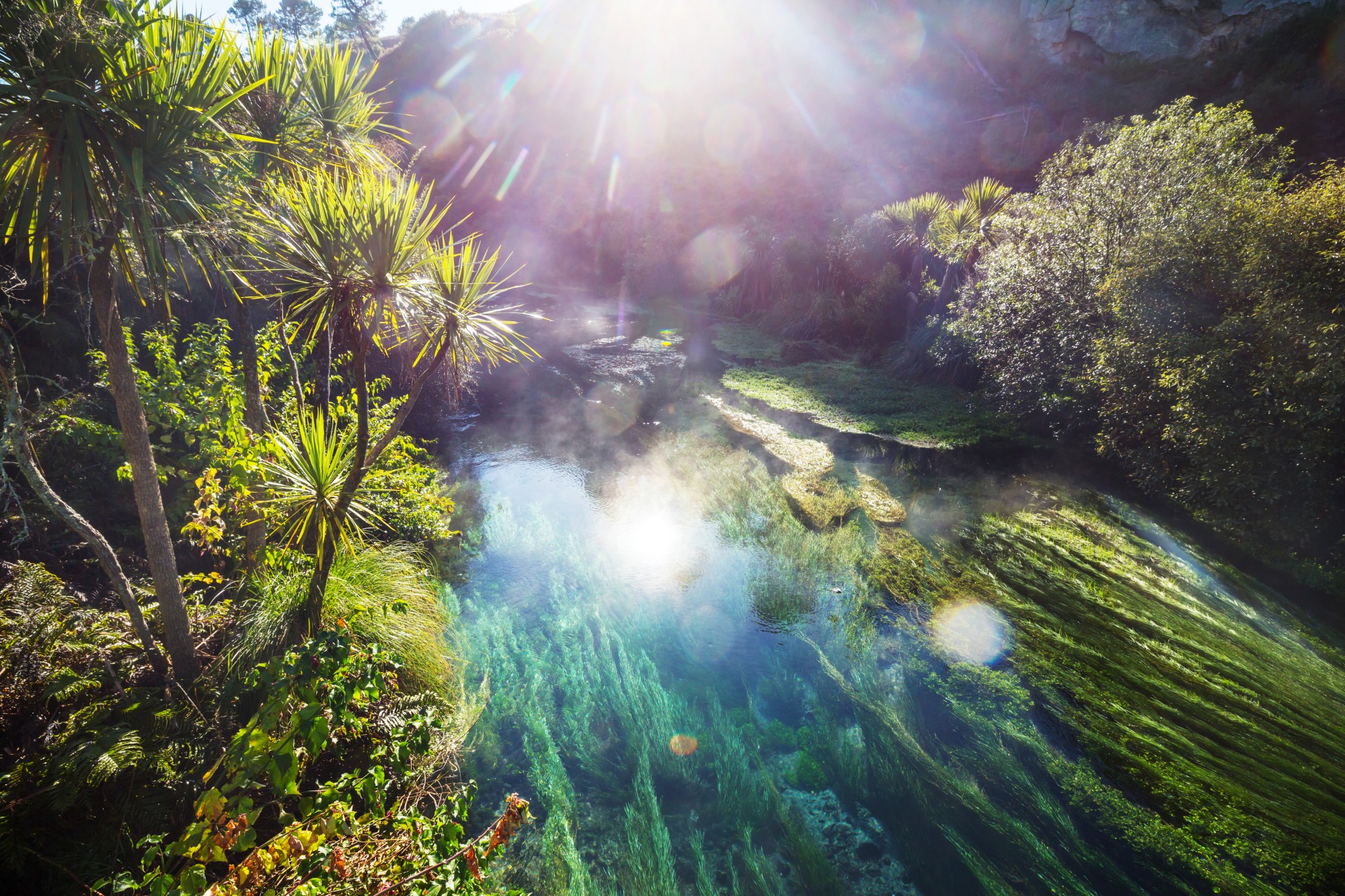 the blue spring